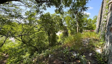 TERRENO CALLE SAN CARLOS MZA 17 LT 16 5.jpg